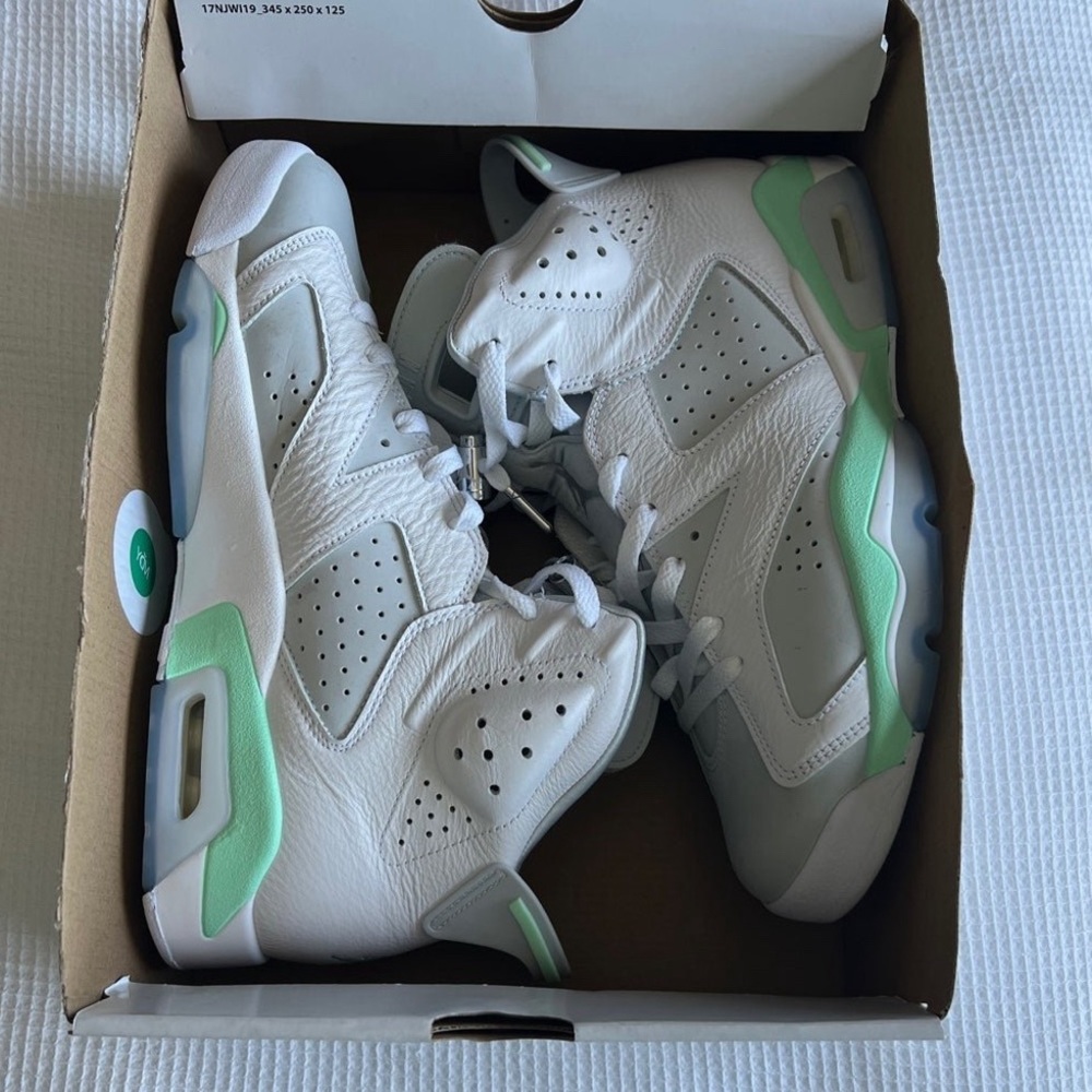 Air Jordan 6 Platinum Mint